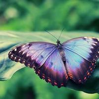 平等的尊严观后感250字细选