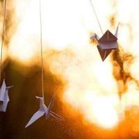 永远记住你清明央视观后感汇聚