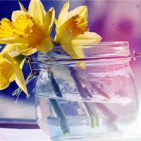 红蚂蚁电影读后感汇聚