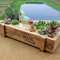 最后一次的讲演读后感集锦