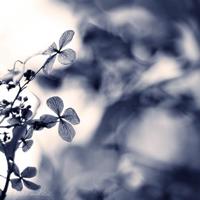 詹天佑观后感300字集锦