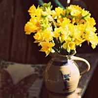 校园期凌观后感50字汇合