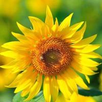 袜子上有洞读后感汇编