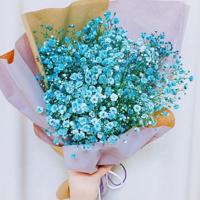 关键期关键帮助读后感汇集