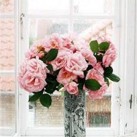 伟大的曰子读后感合集