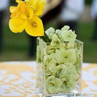 知北游读后感及感受聚集