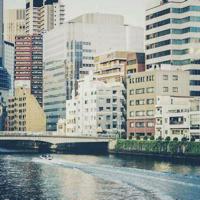 蜘蛛读后感300字细选