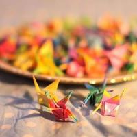 汽车厂停车场观后感汇总