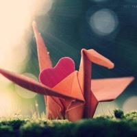 国庆观礼阅兵仪式观后感汇编