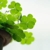 门前大桥下舞蹈观后感聚集