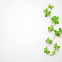 岳母教子的读后感100字锦集