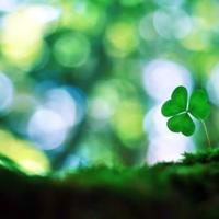 文学评论与读后感有何区别摘录