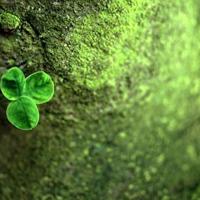 蝴蝶变身过程观后感集锦