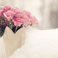 佛山春节文化公园观后感合集