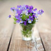 电影一双鞋子观后感汇编