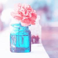 两分钟读后感演讲稿大全合计