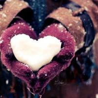 住宿生守则读后感细选