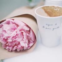 仓库观后感500字锦集