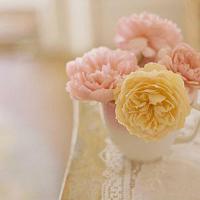 论语有关诚信的读后感集锦