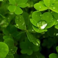 财富是责任读后感汇合