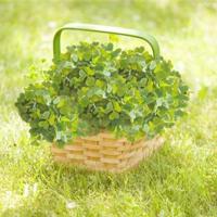 哈利波特系列读后感一百字集合