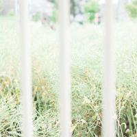 健身房骑单车读后感选录