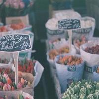 海派文化中心观后感整理