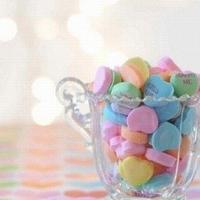 我和老鼠做朋友读后感精选