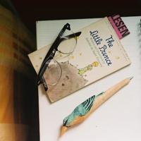 奇思妙想博物馆夜观后感锦集