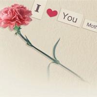 邯郸教育刘媛媛观后感汇聚