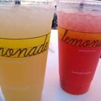 喋血北方狼的读后感集合