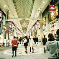 读少女贾梅读后感300字细选