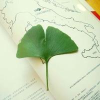 老舍草原的读后感精选