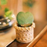 三双鞋的故事观后感总汇