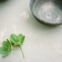 表演观后感五年级汇合