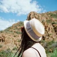 大而不倒读后感2000字选录