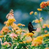 蜗牛四季的旅行读后感集合