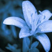 赵一曼事迹读后感合集