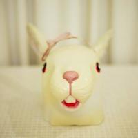 园子里的春天节选的读后感汇合