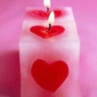 麻雀观后感50字汇集