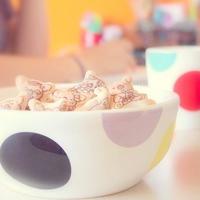 防地震安全常识讲座观后感选录