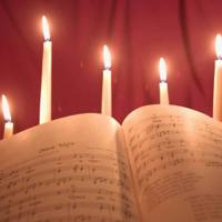 小白的选择读后感100字精选