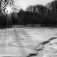 探险读后感400总汇