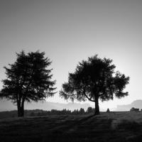 阳光小美女观后感英文汇合