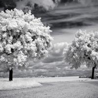 读古文朝三暮四读后感摘录