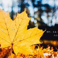 太原博物馆和古县城观后感汇总