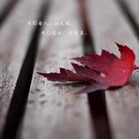 三年级上册读后感5篇细选