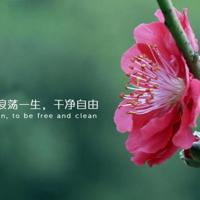 参观武昌农经所观后感选录