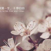 熊猫总动员观后感总汇