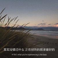 《妈妈的树》的读后感精选